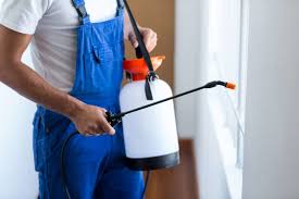 Best Real Estate Pest Inspections  in Stratford, TX